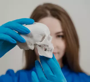 Gnatologia